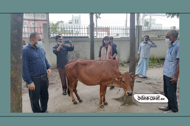 পরিচ্ছন্নতা কর্মীদের কোরবানির পশু প্রদান