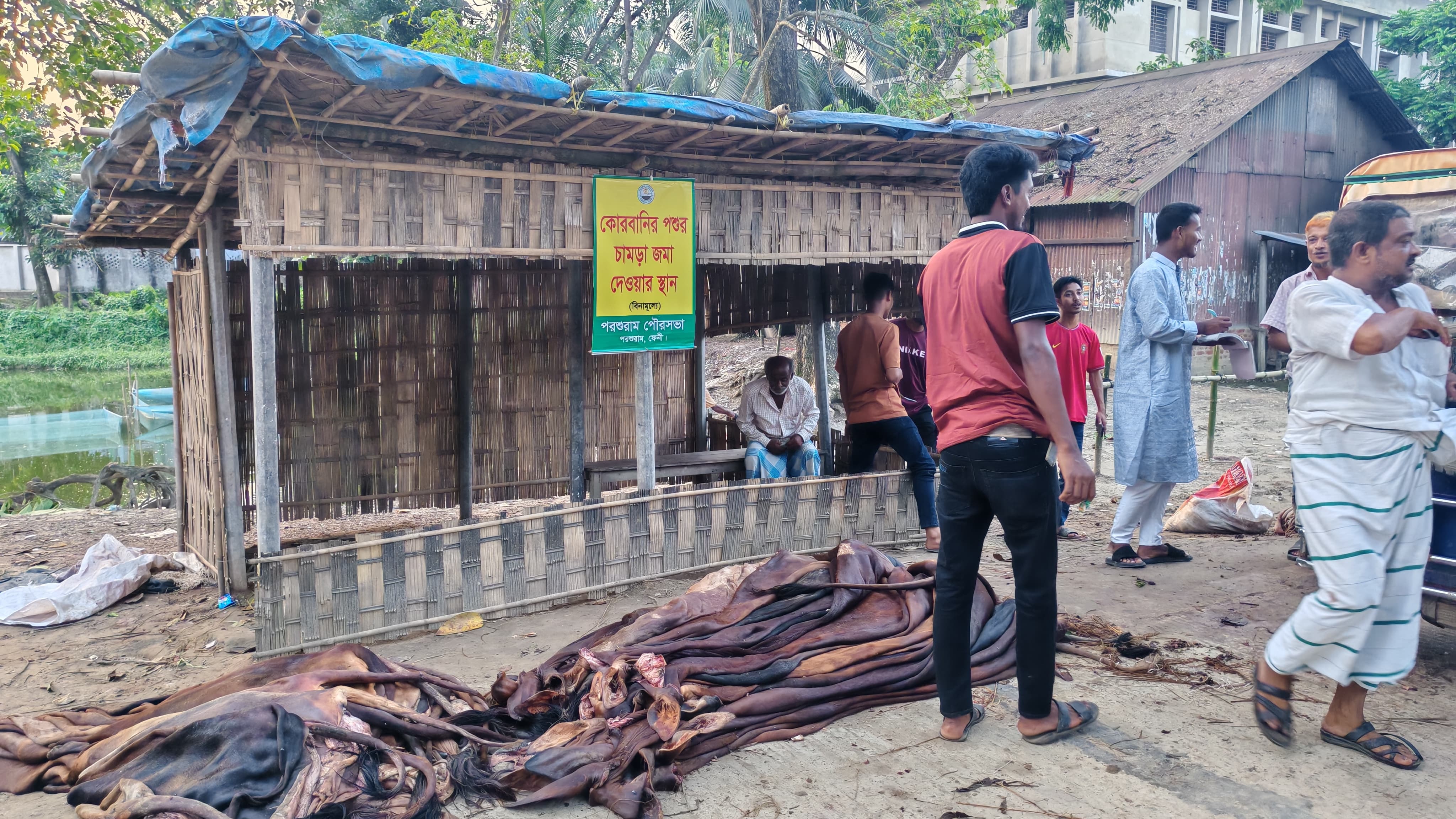 সরকারি দরের সঙ্গে মিল নেই বাজারে, পরশুরামে ‘পানির দরে’ চামড়া বিক্রি
