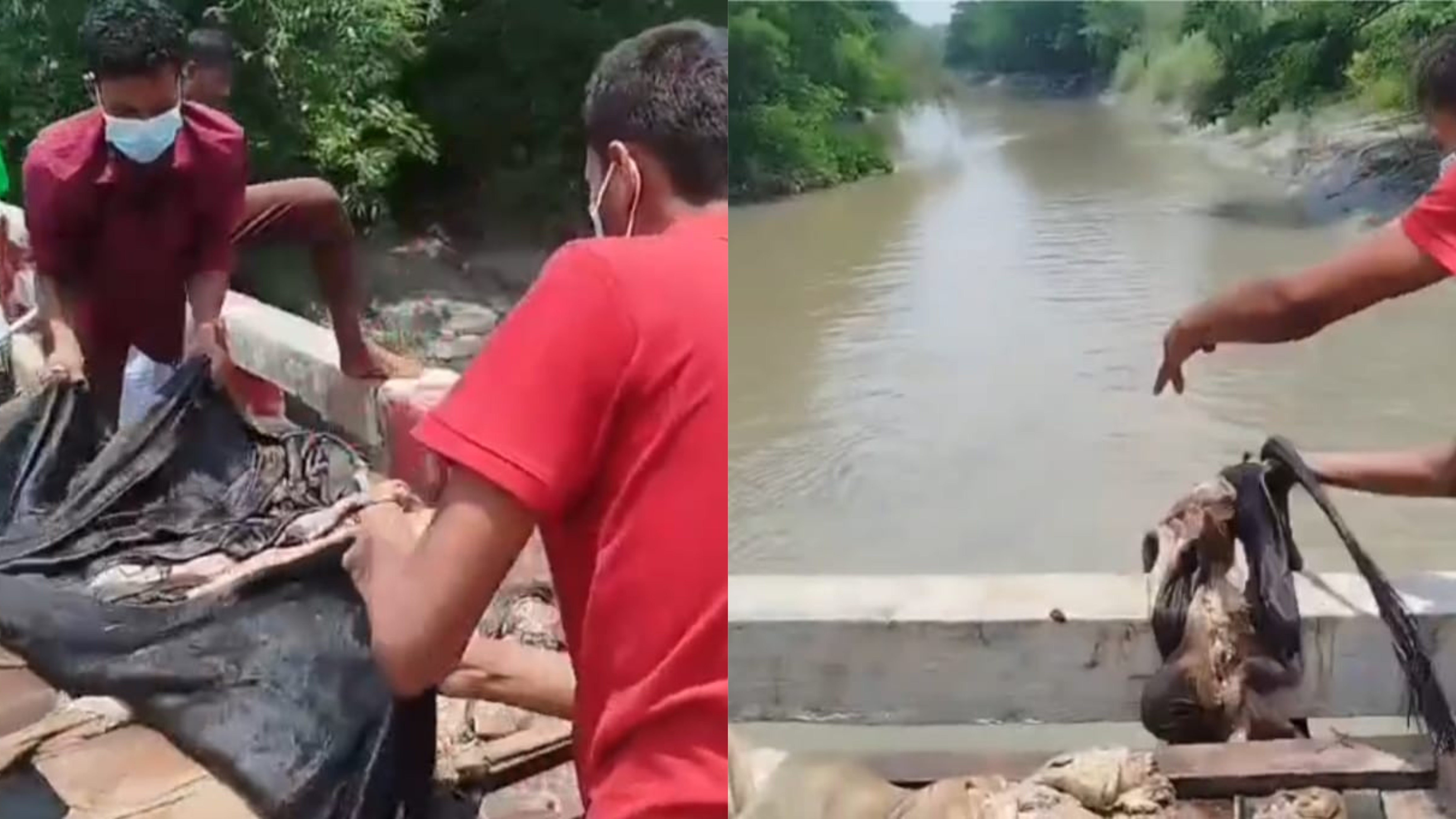 দাগনভূঞায় দাম না পেয়ে নদীতে চামড়া ফেলে পরিবেশ দূষণ, ম্যাজিস্ট্রেটের কাছে ভুল স্বীকার ব্যবসায়ীর