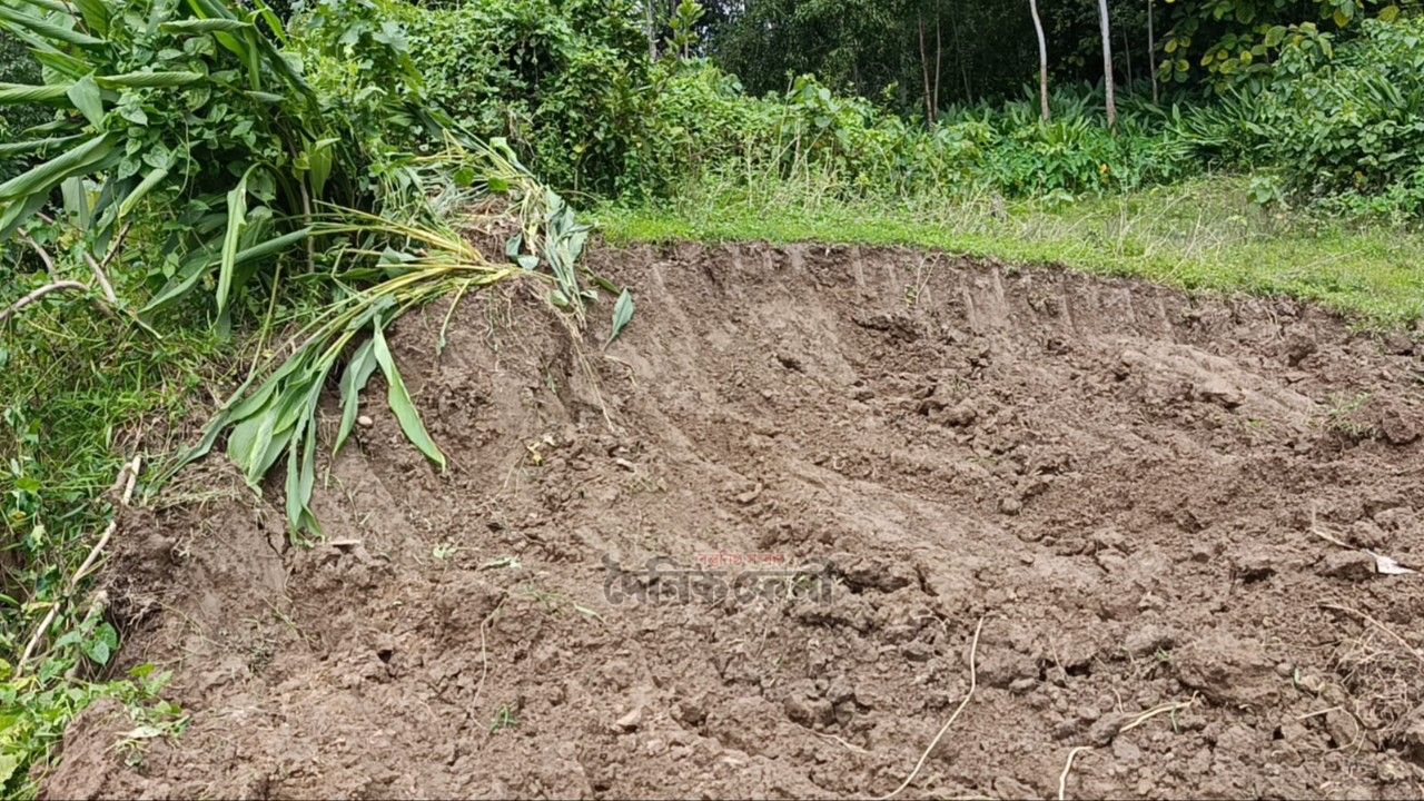 রাতের আঁধারে কাটা হলো কহুয়া নদীর চর, মাটি গেল ইটভাটায়