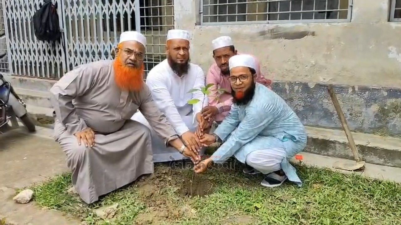 ফেনী আলিয়া মাদ্রাসায় বৃক্ষরোপণ কর্মসূচি