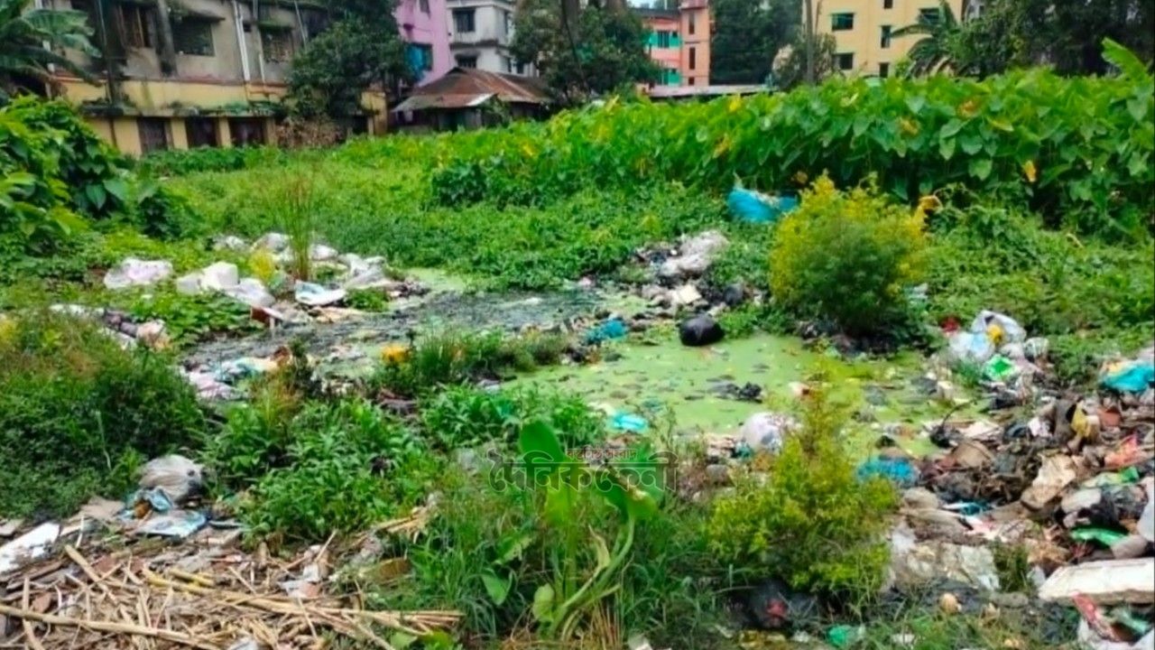 এবার শিক্ষাপ্রতিষ্ঠানে ডেঙ্গু বিস্তারের ঝুঁকি