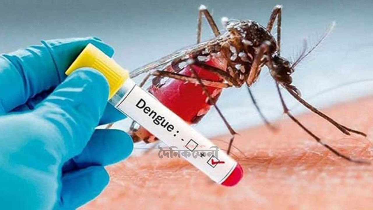 ফেনীতে ডেঙ্গু রোগী শনাক্তের শীর্ষে সদর
